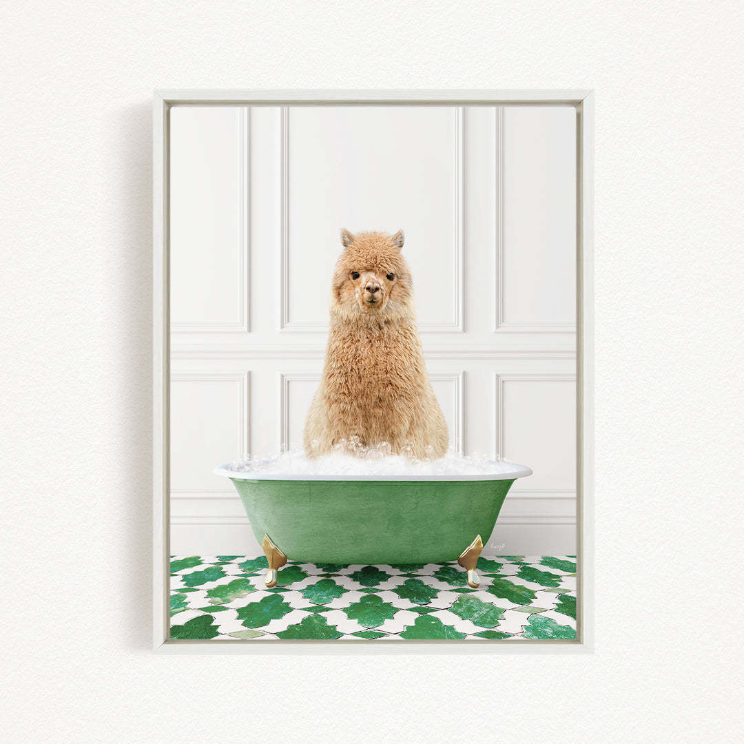 A fluffy brown dog sitting in a green bathtub filled with bubbles, with a white wall and green and white patterned floor in the background.