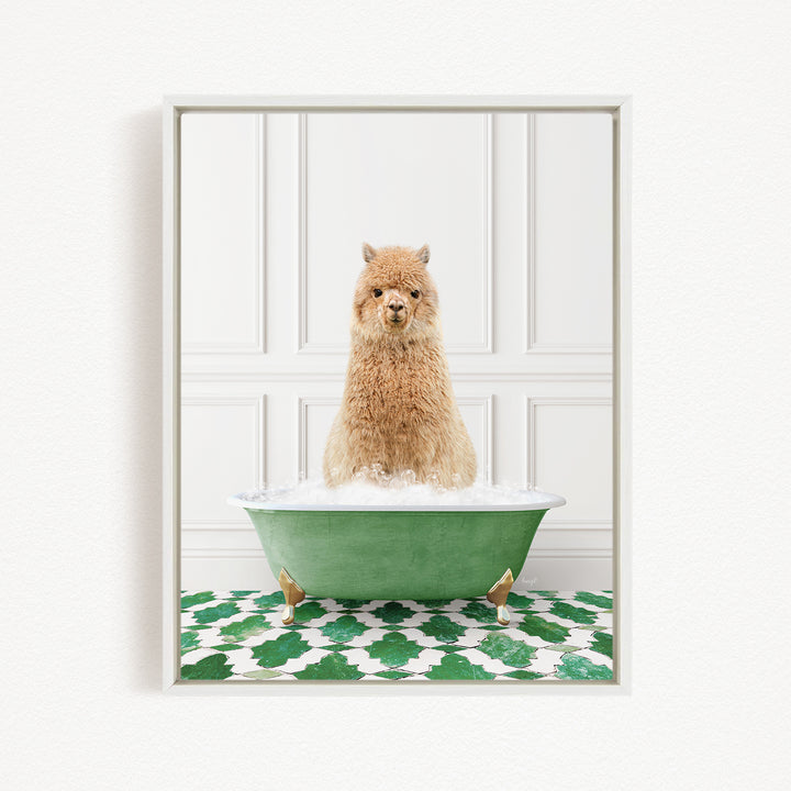 A fluffy brown dog sitting in a green bathtub filled with bubbles, with a white wall and green and white patterned floor in the background.