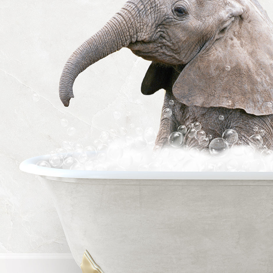 a baby elephant in a bathtub with bubbles