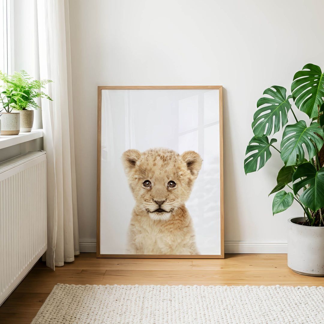 a large framed picture of a young lion cub, which is the main focus of the scene. The lion cub is looking directly at the camera, creating a sense of connection with the viewer. The picture is set against a backdrop of a white wall and a window, with a rug on the floor in front of it. There are also two potted plants in the room, one on the left side and the other on the right side.