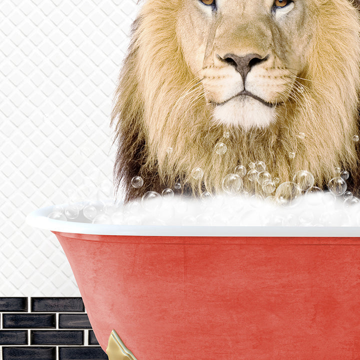 a lion sitting in a bathtub with bubbles