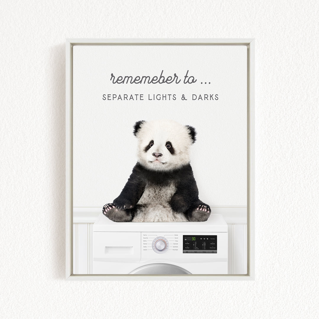 A panda bear sitting on top of a washing machine, with the text "Remember to separate lights & darks" above the image.