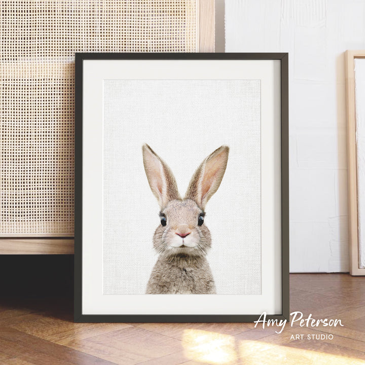 A framed photograph of a rabbit with large ears, set against a white background.
