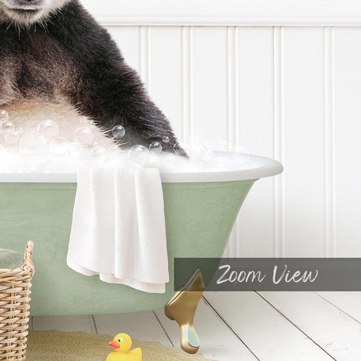 A cat sitting in a green bathtub filled with bubbles, with a towel and rubber duck nearby.