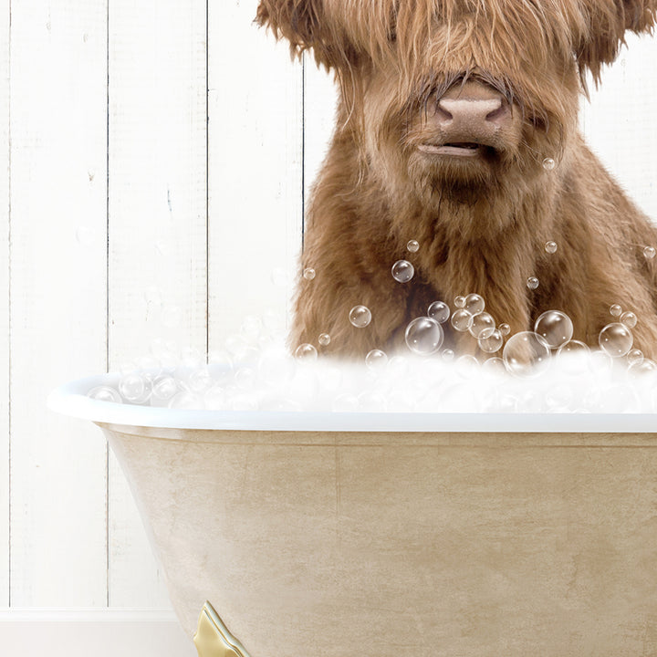 a brown dog sitting in a bathtub filled with bubbles