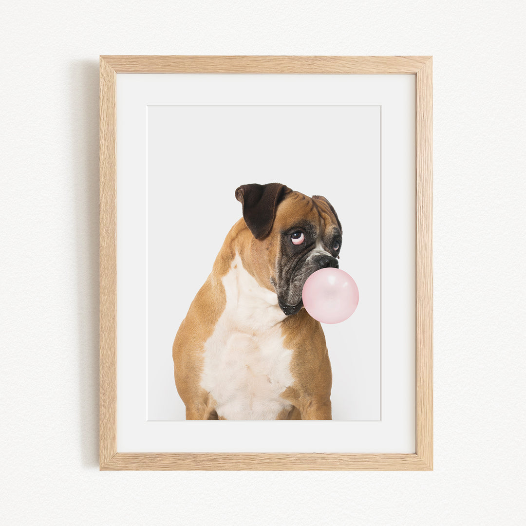 A brown and white dog is blowing a pink bubble with its mouth, creating a playful and whimsical scene.