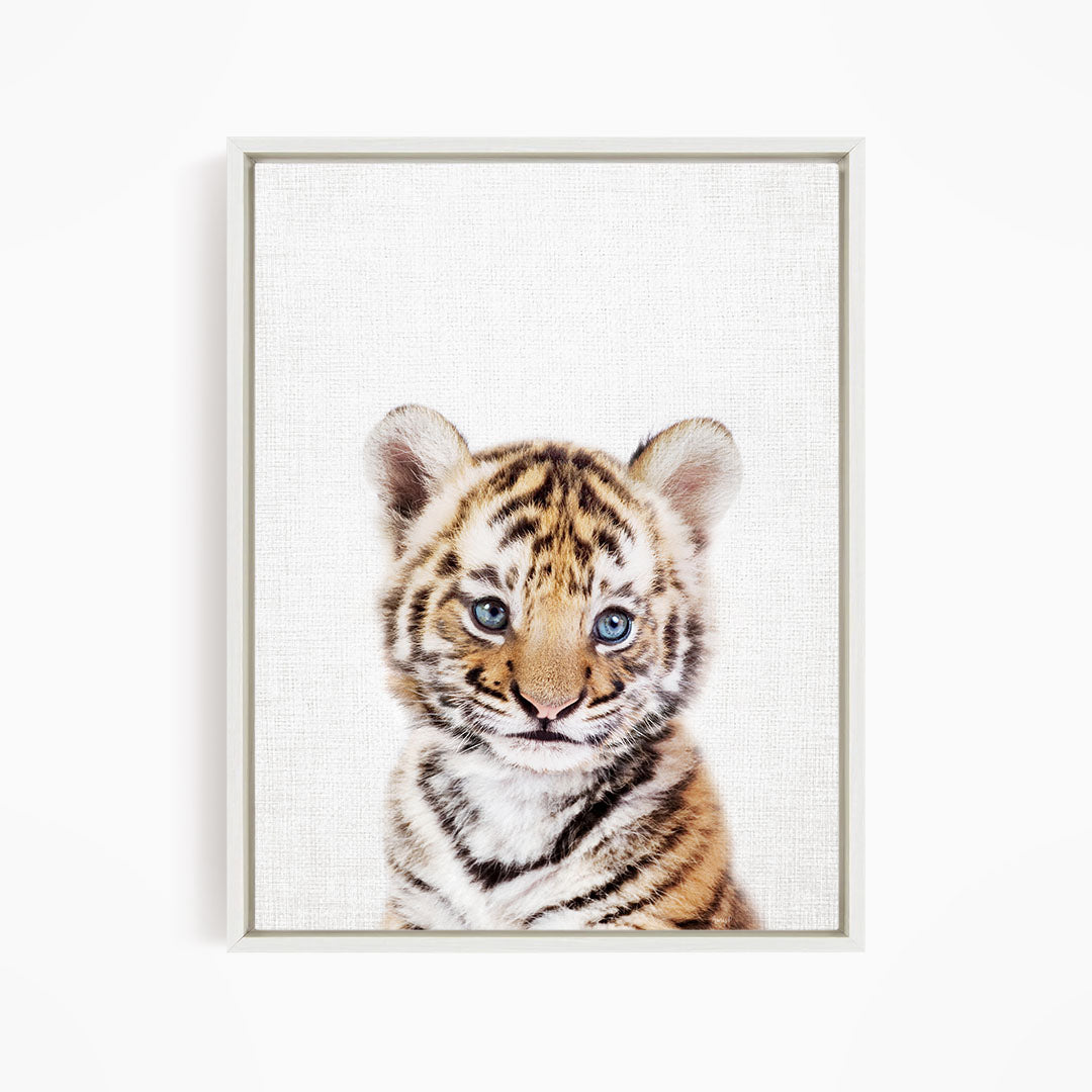 A young tiger cub with striking blue eyes and a captivating expression is the focal point of the image.