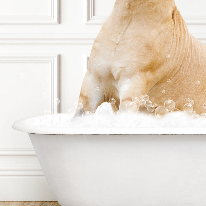 a dog is taking a bath in a bathtub