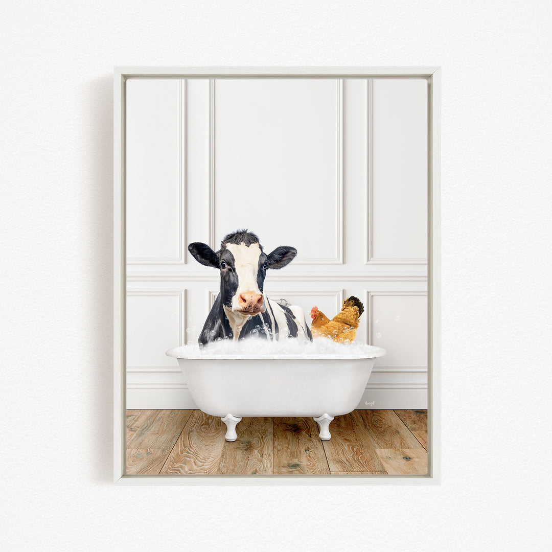 A black and white cow is sitting in a white bathtub filled with water, with a chicken nearby.