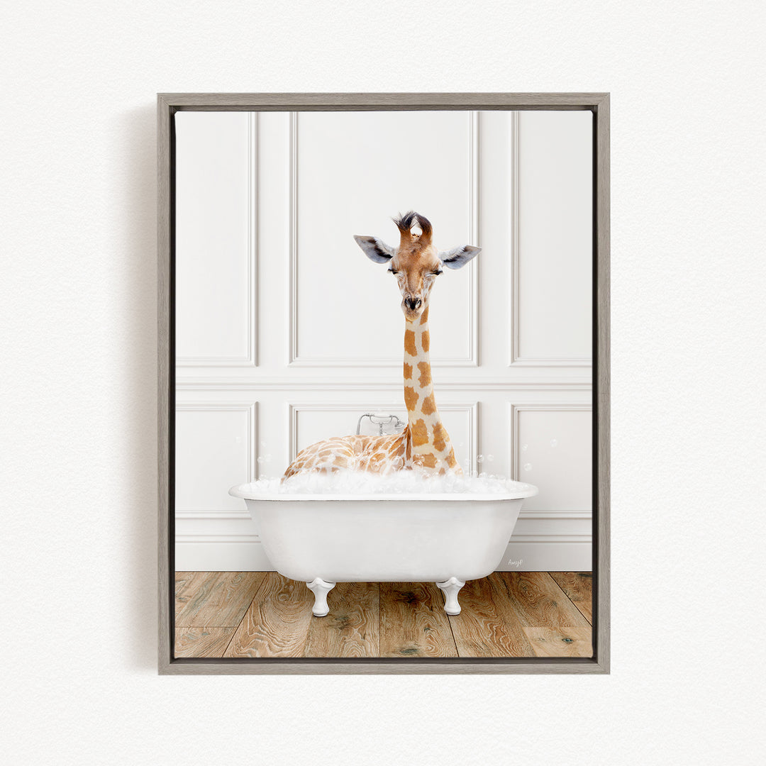 A giraffe sitting in a white bathtub filled with bubbles, looking directly at the camera.