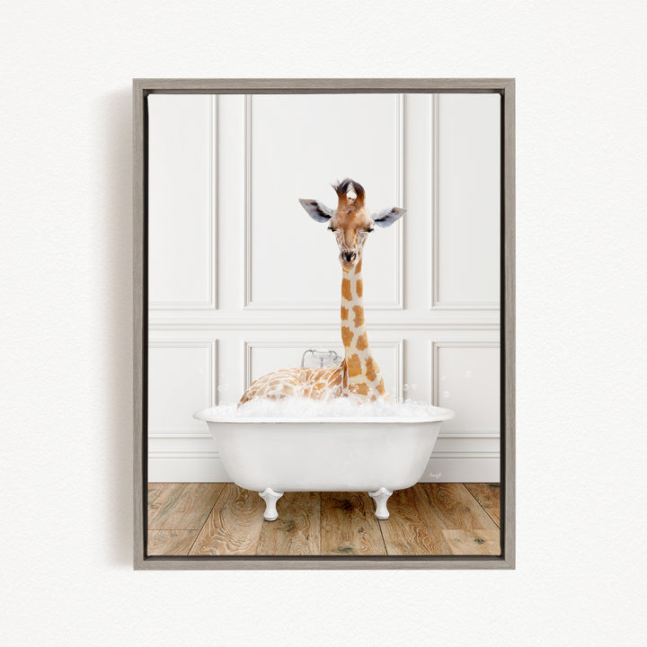 A giraffe sitting in a white bathtub filled with bubbles, looking directly at the camera.
