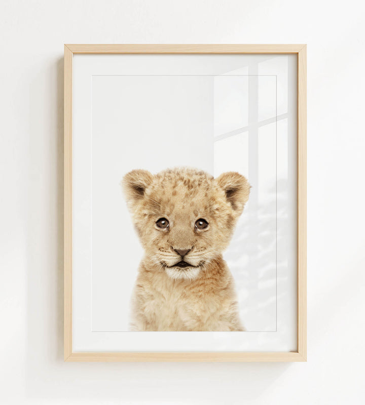 A young lion cub with a curious expression is the focus of the framed print displayed on the wall.