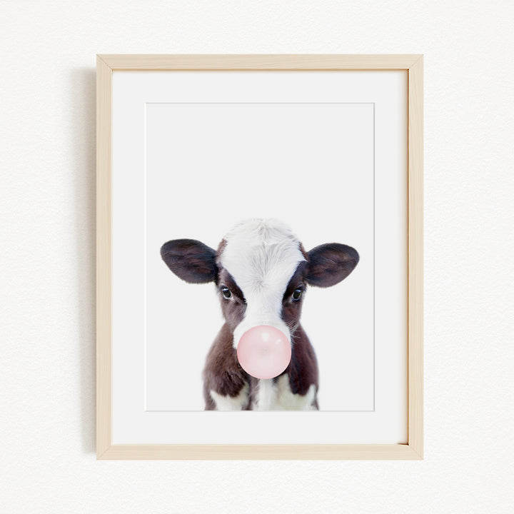 A framed image of a black and white cow blowing a bubble with a pink bubble gum bubble.