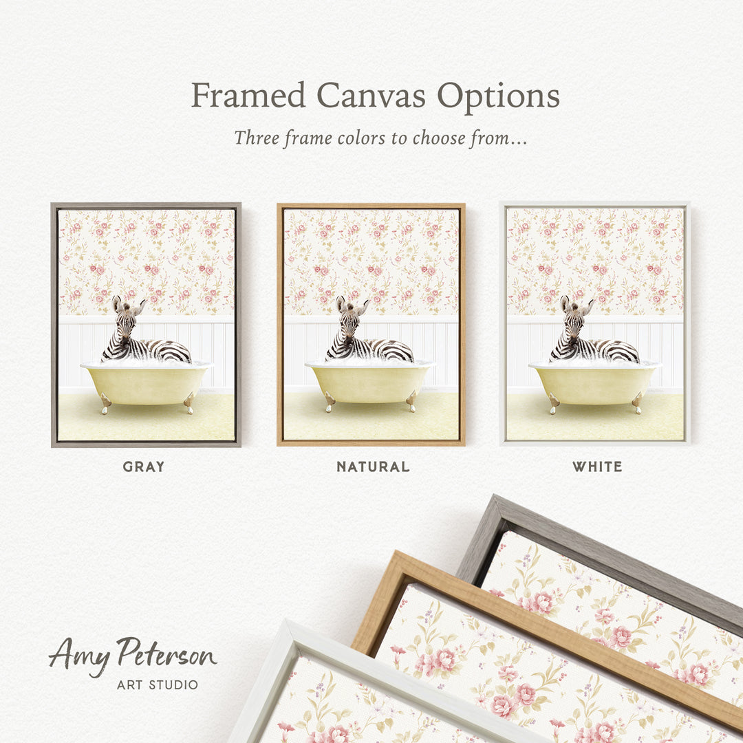 The image is a framed canvas option showcasing three different framed canvas options for a zebra sitting in a bathtub. The options include a gray frame, a natural frame, and a white frame.