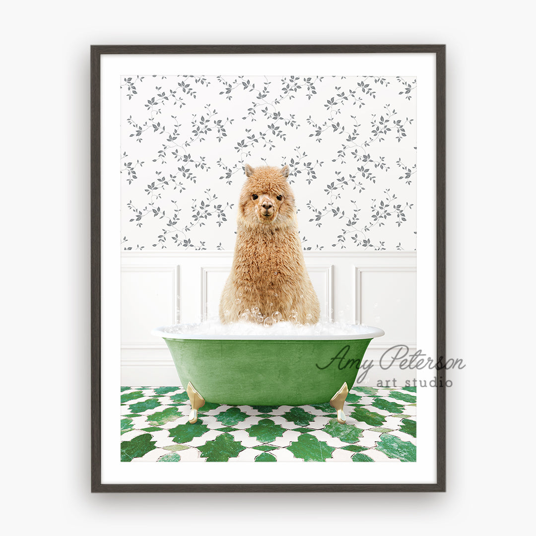 a brown dog sitting in a green bath tub