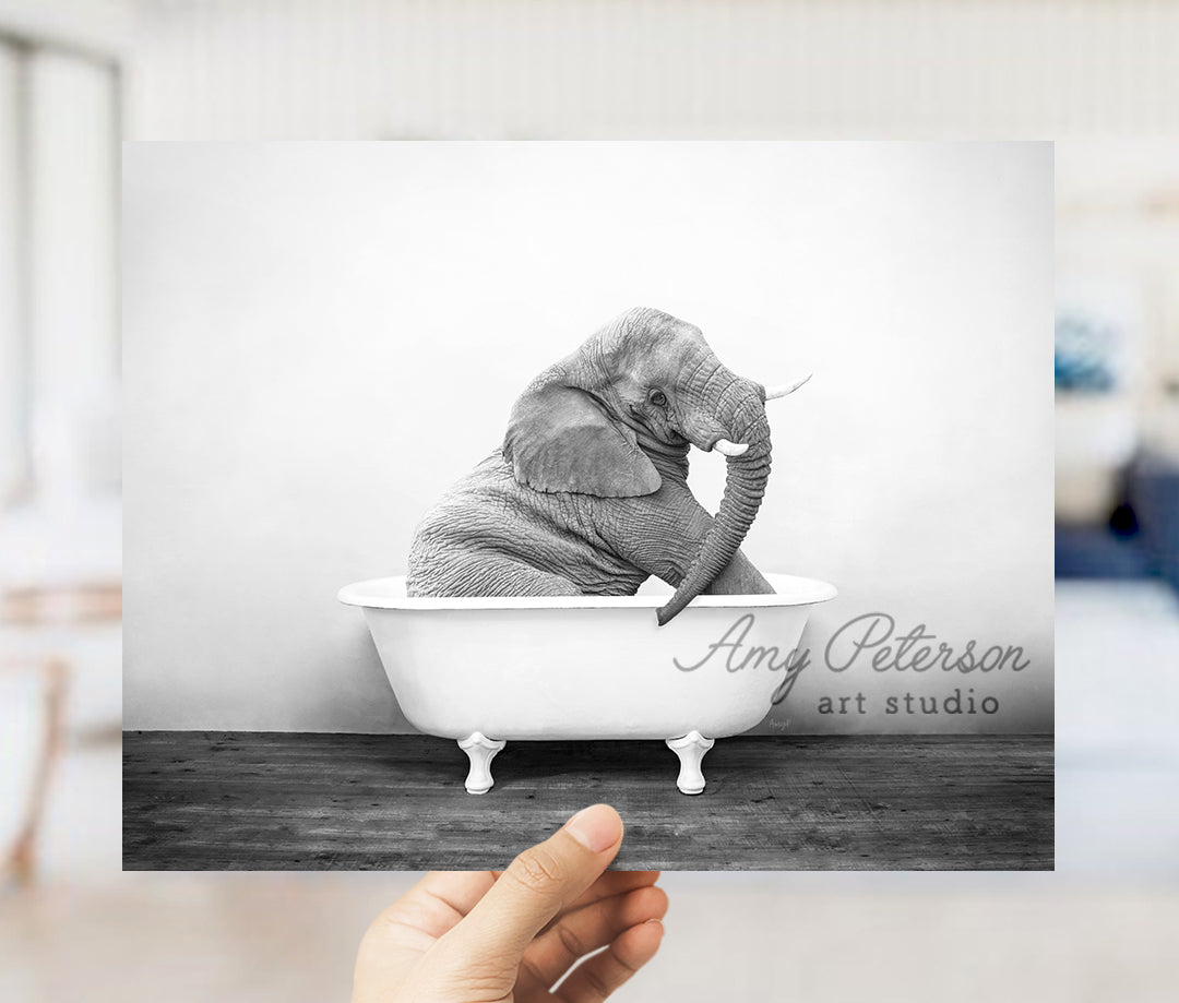 a hand holding up a black and white photo of an elephant in a bathtub