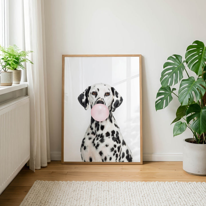A Dalmatian dog is sitting in front of a framed picture, blowing a bubble with a pink bubble gum bubble.