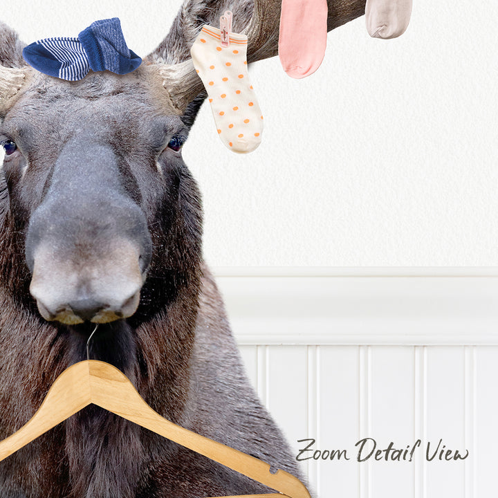 A close-up of a moose's head with a wooden hanger attached to its horns, and several colorful socks hanging from the hanger.
