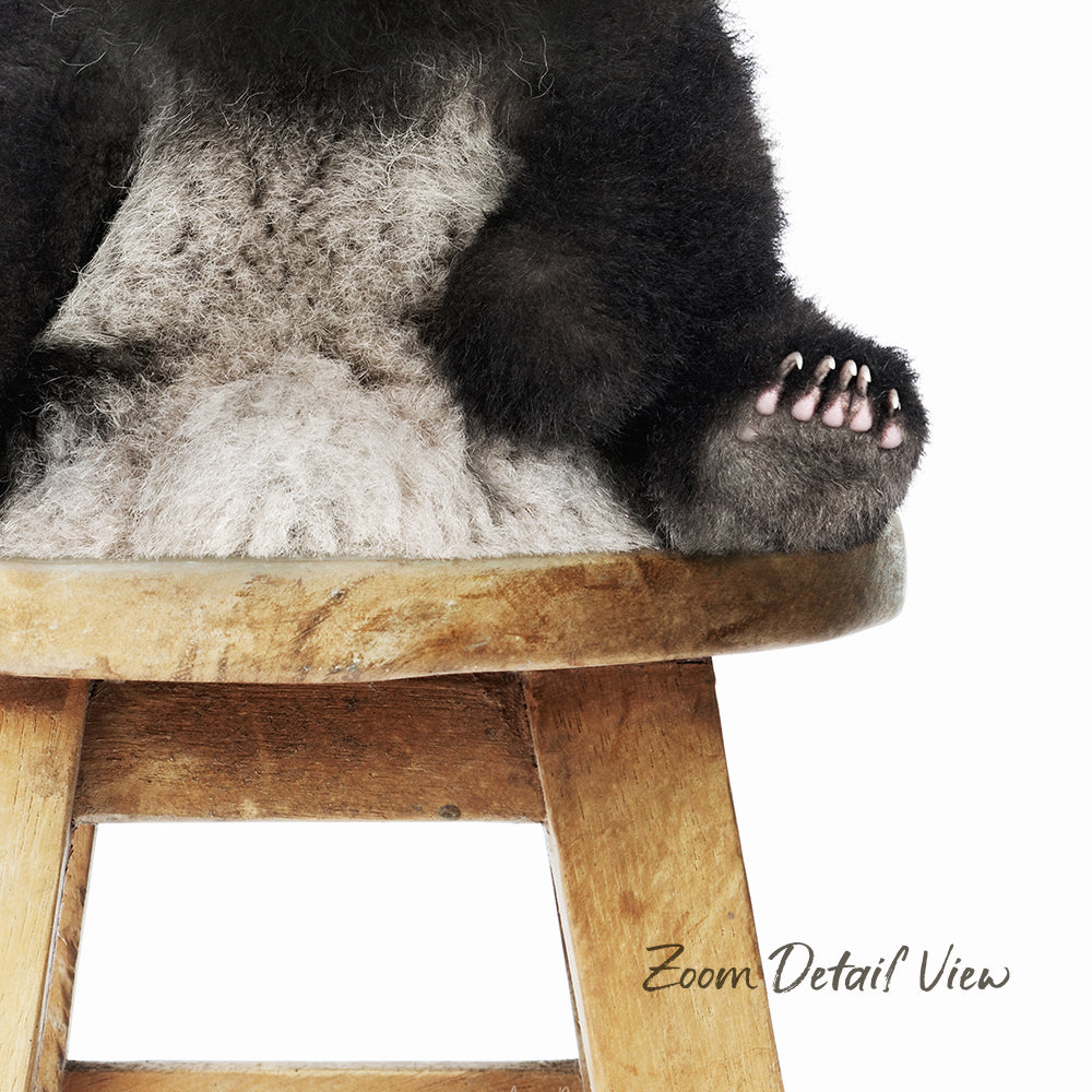 A close-up of a bear cub's paw resting on a wooden stool.