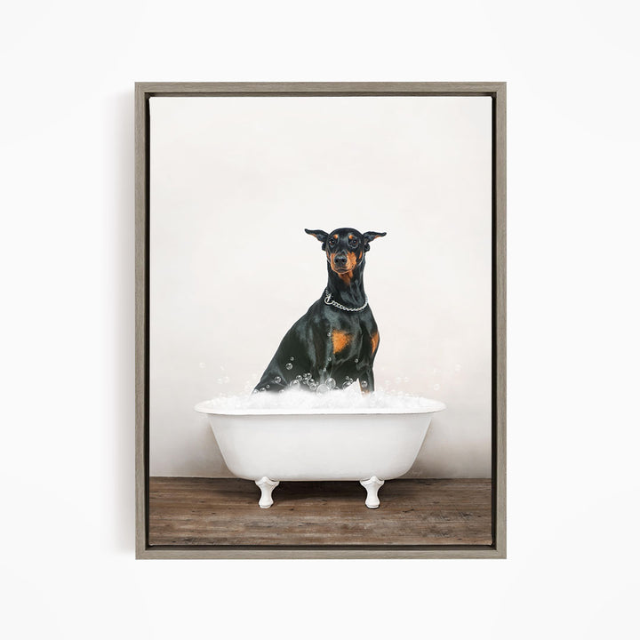 A black and brown dog sitting in a white bathtub filled with water, looking directly at the camera.