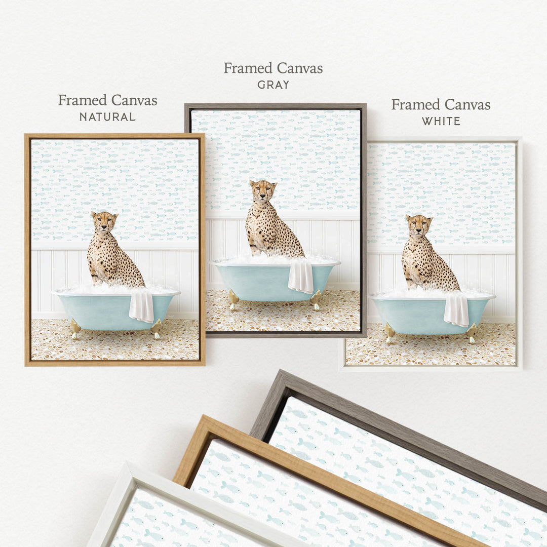 three framed pictures of a cheetah sitting in a bathtub, each with a different color frame.