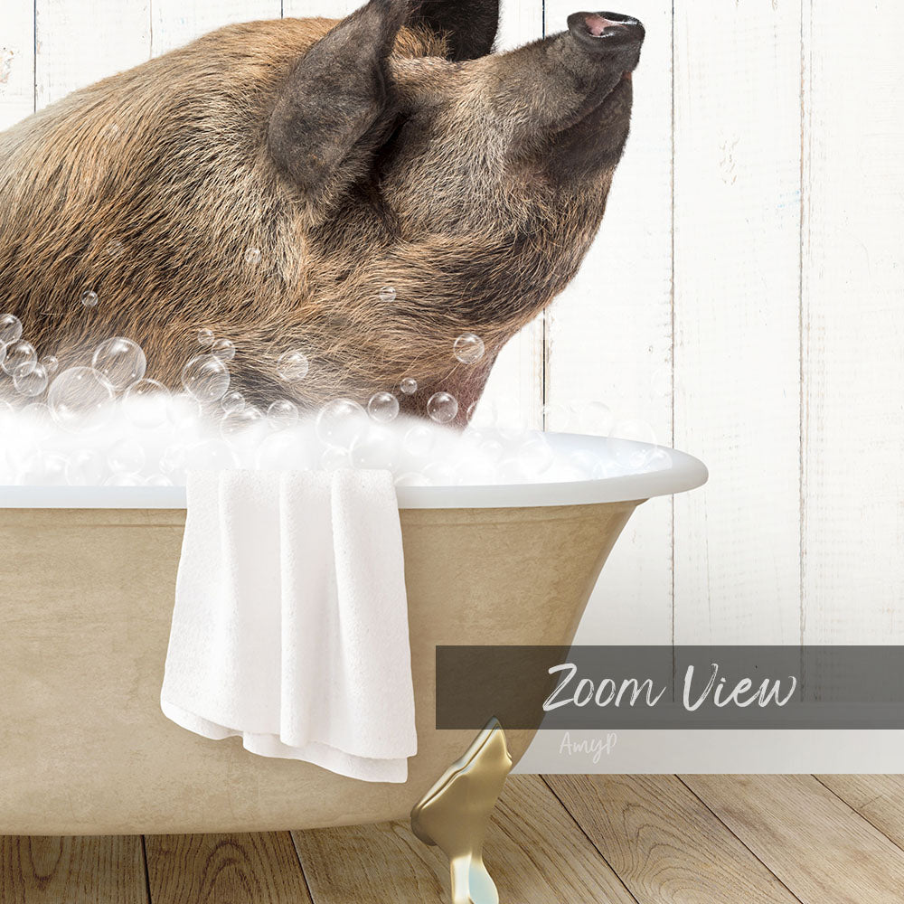 A pig sitting in a bathtub filled with bubbles, with a towel hanging on the side and the text "Zoom View" and "Amig" visible.