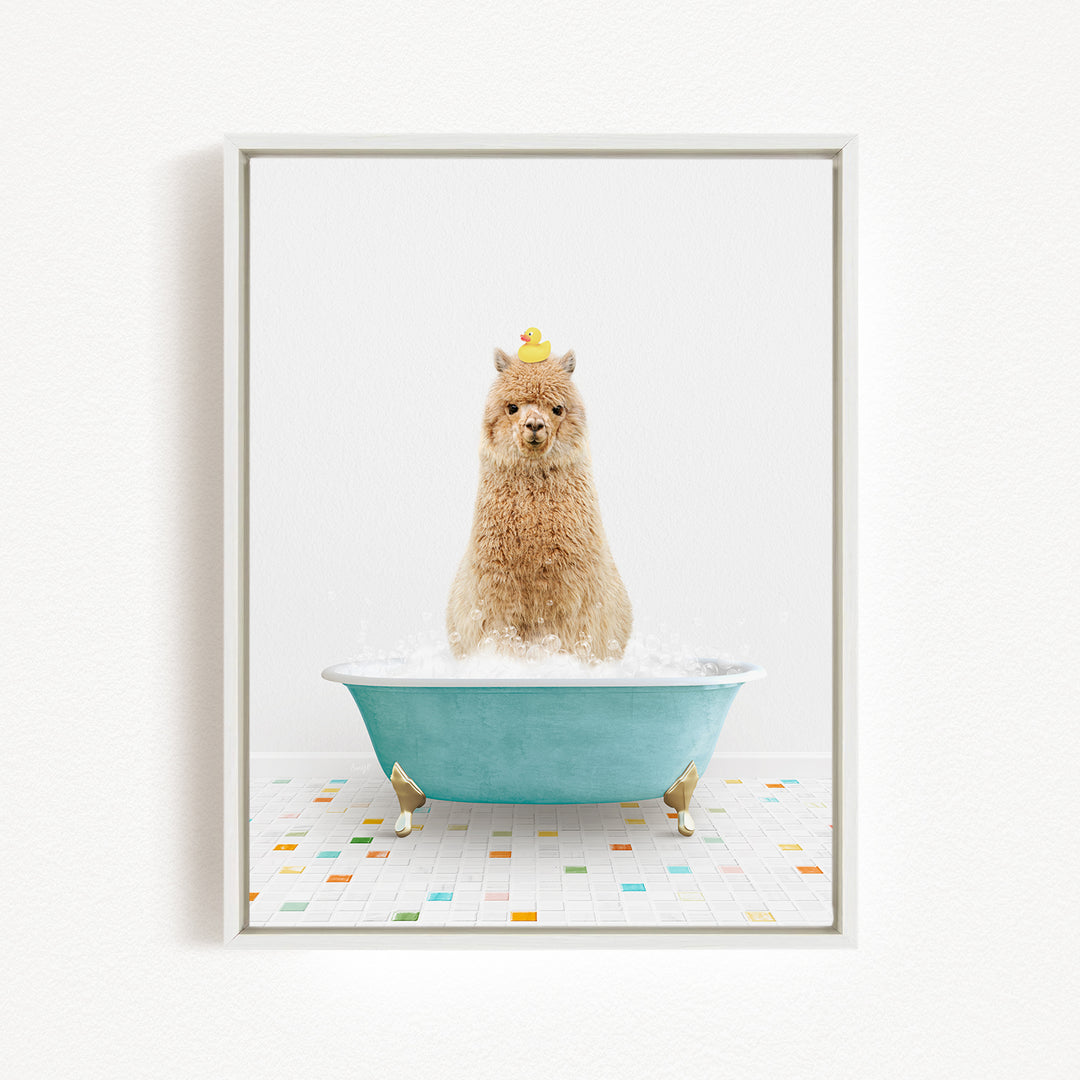 A fluffy brown dog sitting in a blue bathtub filled with bubbles, with a yellow rubber duck perched on its head.