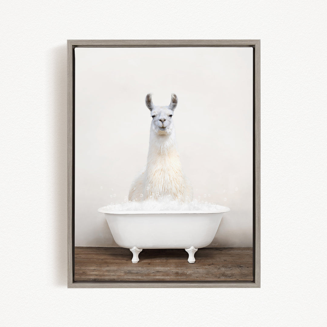 A white llama sitting in a white bathtub filled with bubbles.