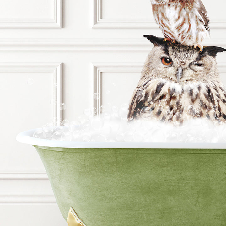 an owl sitting on top of a bath tub filled with foam