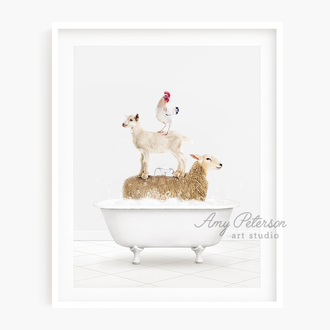 a picture of a chicken and two lambs in a bathtub