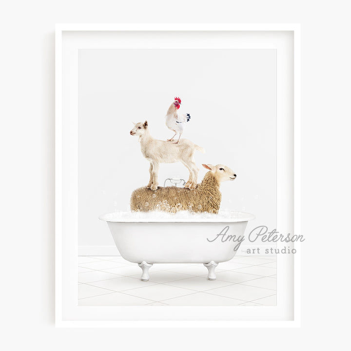 a picture of a chicken and two lambs in a bathtub