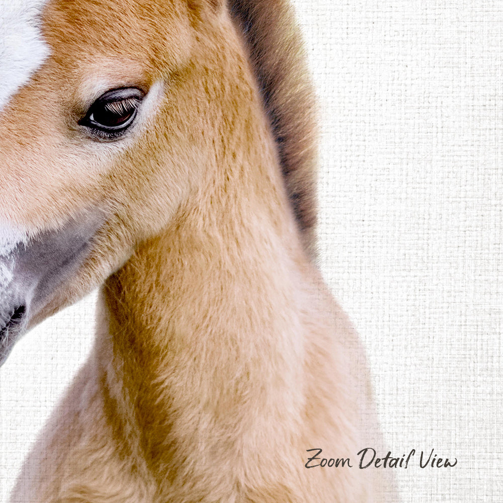 A close-up of a horse's head, focusing on its eyes and the soft, furry texture of its neck and face.