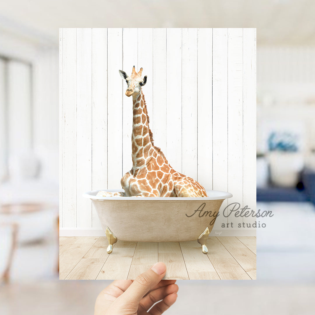 a giraffe is sitting in a bath tub