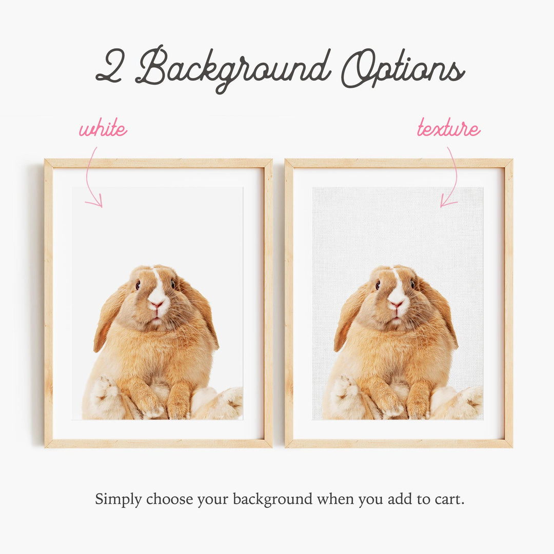a picture of a rabbit and a rabbit with the words background options below it