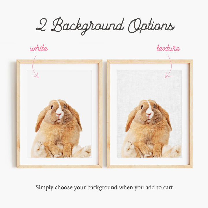 a picture of a rabbit and a rabbit with the words background options below it