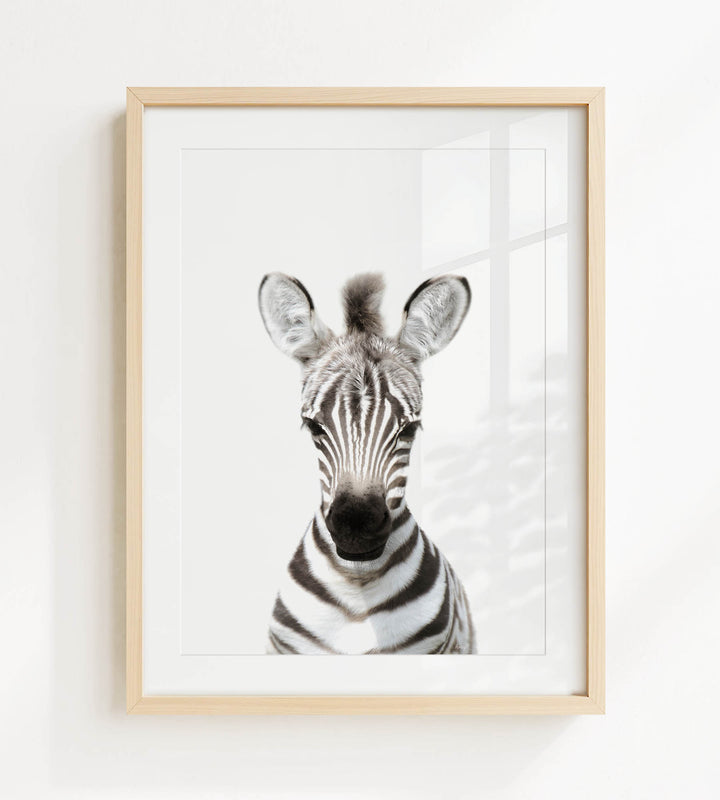 A framed photograph of a zebra's head, with its distinctive black and white striped pattern and large ears, is displayed on a white wall.