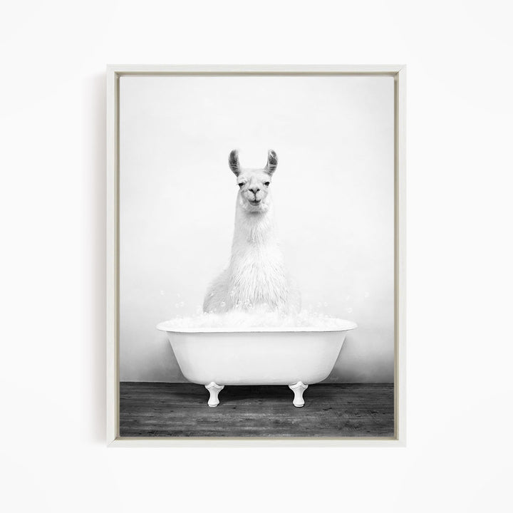A white llama sitting in a white bathtub filled with water, creating a whimsical and playful scene.