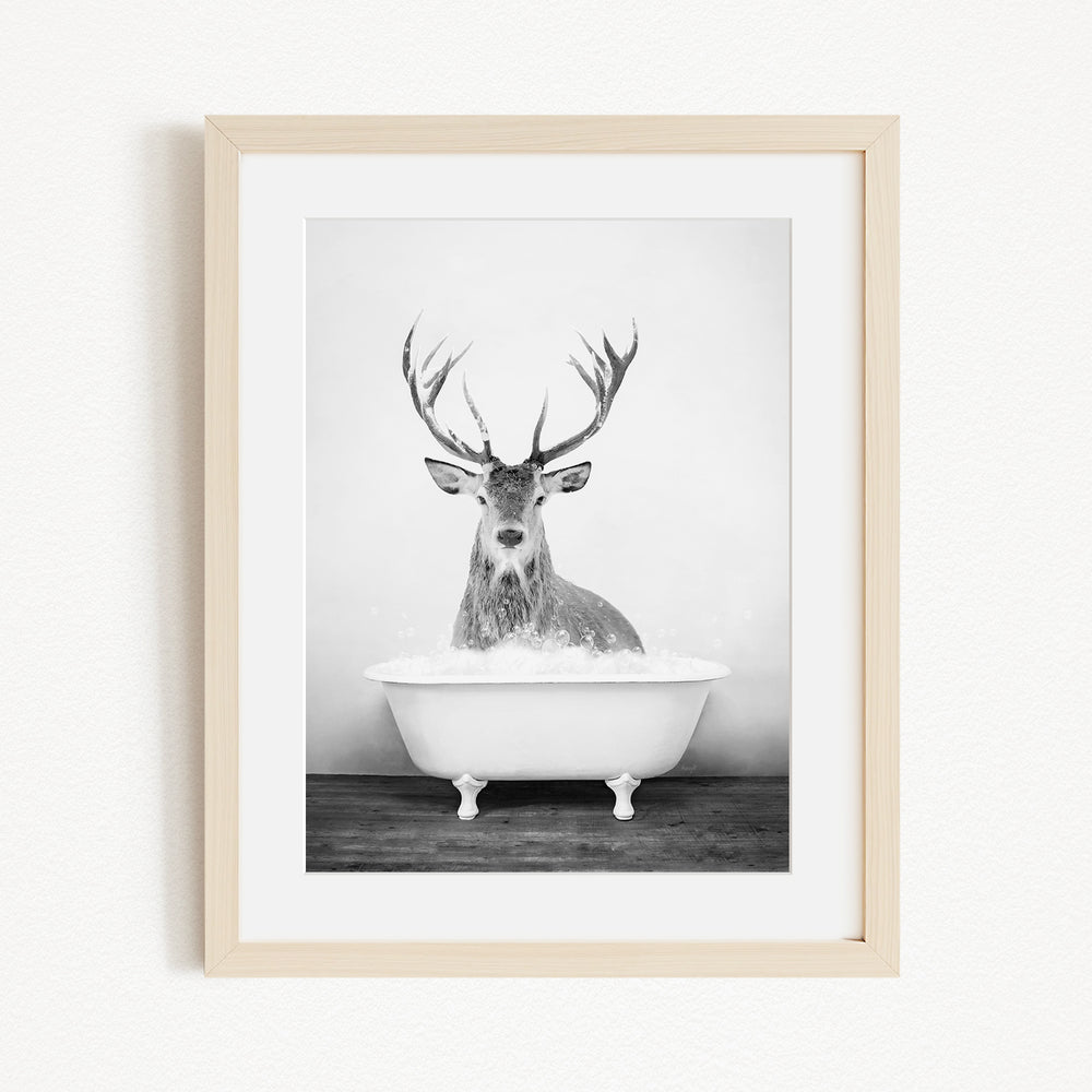 A deer with large antlers is sitting in a white bathtub filled with water, creating a whimsical and unexpected scene.