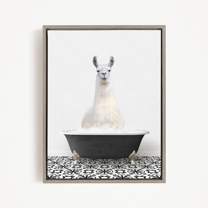 A white llama sitting in a black bathtub filled with water, creating a whimsical and playful scene.