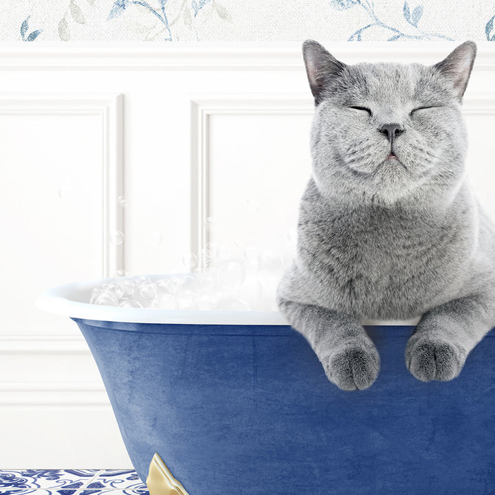 a gray cat sitting in a blue bath tub