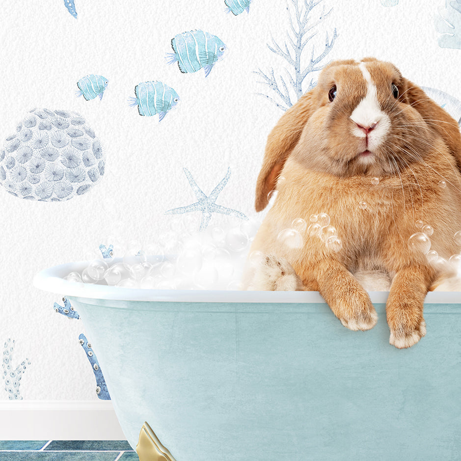 a rabbit sitting in a bathtub full of foam