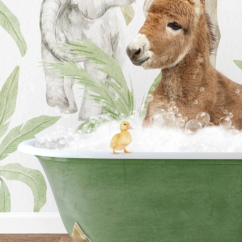 a baby donkey in a bathtub with a rubber duck