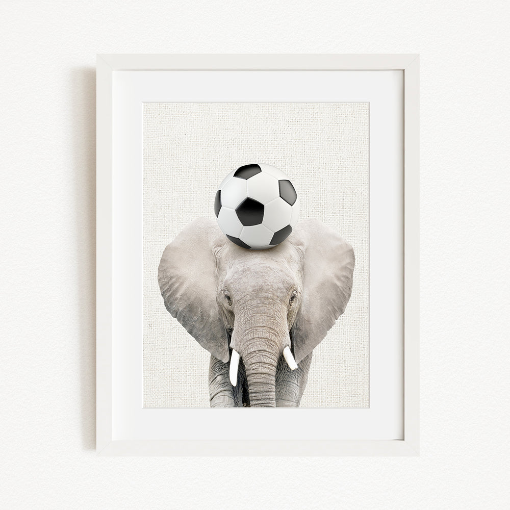 A framed image of an elephant balancing a soccer ball on its head.