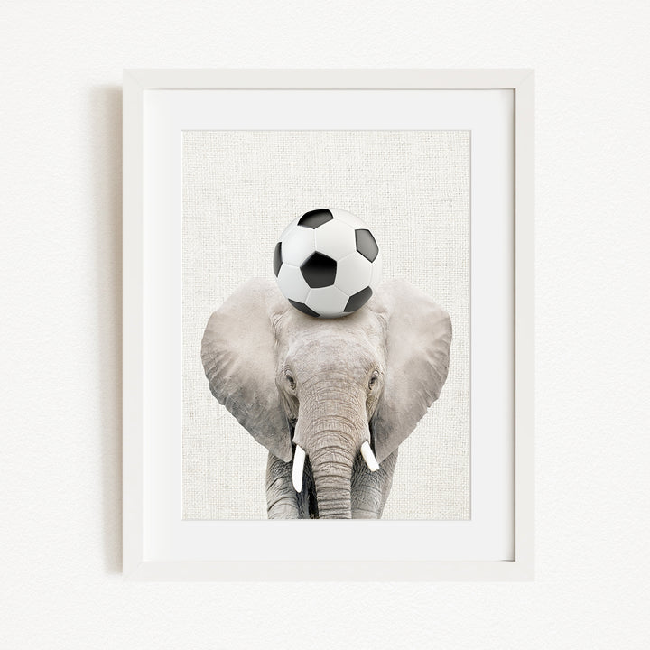 A framed image of an elephant balancing a soccer ball on its head.