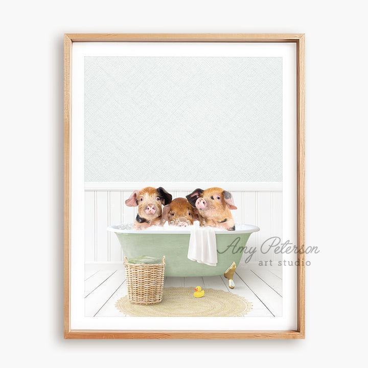 a picture of two pigs in a bathtub