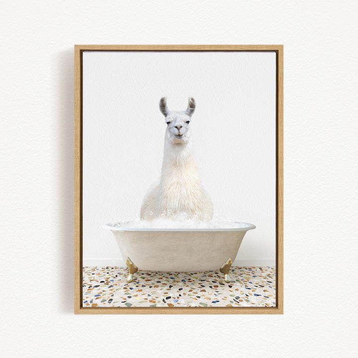 A white llama sitting in a white bathtub filled with water, with a speckled floor in the background.