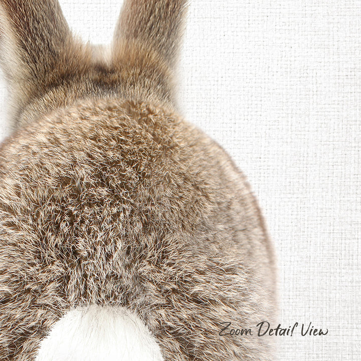 the back of a fluffy, brown rabbit's tail against a plain white background.