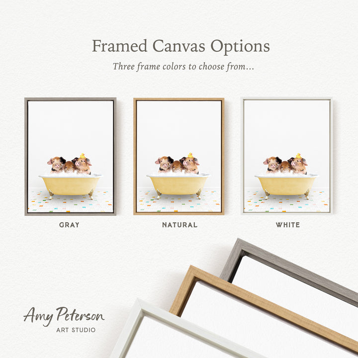 three framed canvas options, each featuring a different color: gray, natural, and white. The text above the images reads " framed Canvas Options" and "Three frame colors to choose from...". The bottom of the image includes the text " Amy Peterson ART STUDIO".