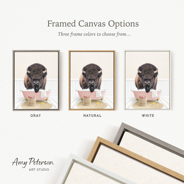 three framed canvas options, each featuring a different color: gray, natural, and white. The text above the images reads " framed Canvas Options" and "Three frame colors to choose from...". The bottom of the image includes the text " Amy Peterson ART STUDIO".