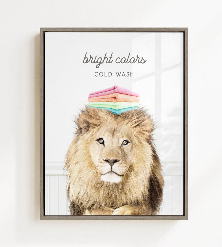 A framed image of a lion with a stack of colorful towels on its head, accompanied by the text "bright colors" and "COLD WASH".
